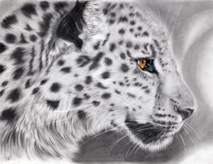 Autumn Leopard - Print