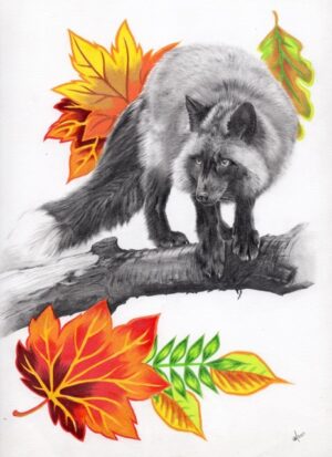 Autumn Fox - Print
