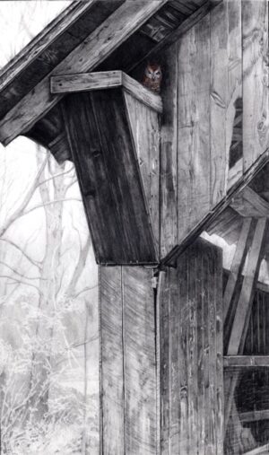 Emily's Bridge - Print