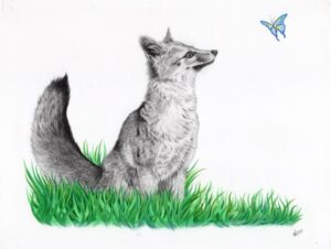 Spring Fox - Print