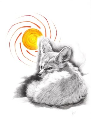 Summer Fox - Print